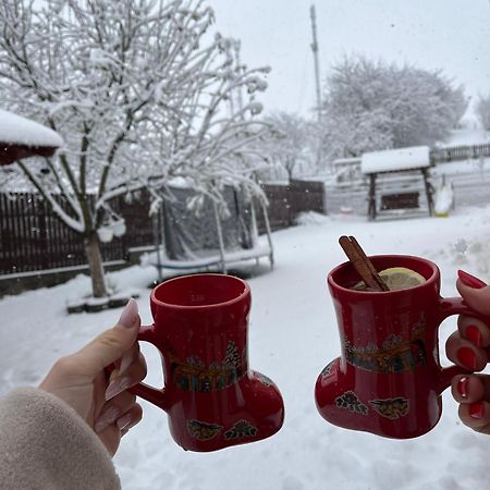Vila Georgeta Zărneşti Bagian luar foto