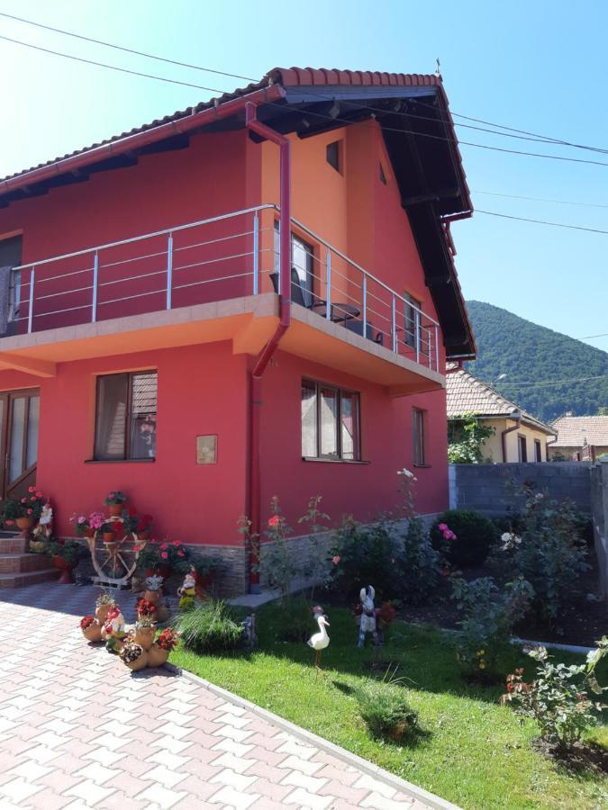 Vila Georgeta Zărneşti Bagian luar foto