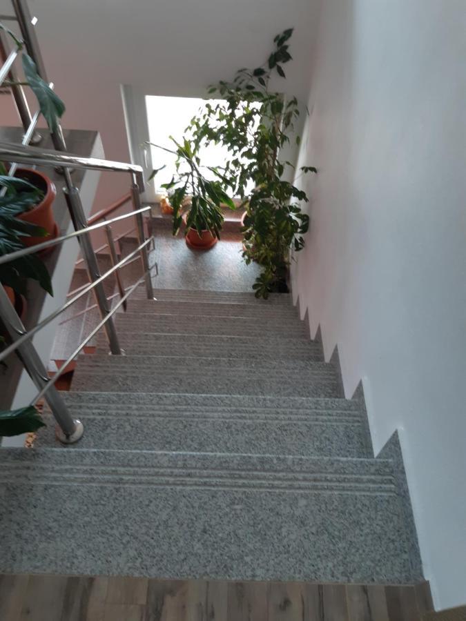 Vila Georgeta Zărneşti Bagian luar foto