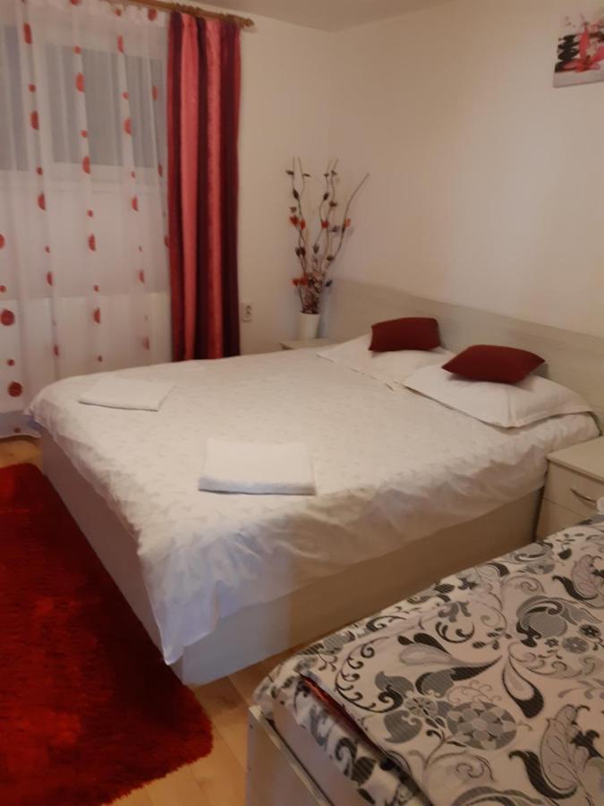 Vila Georgeta Zărneşti Bagian luar foto