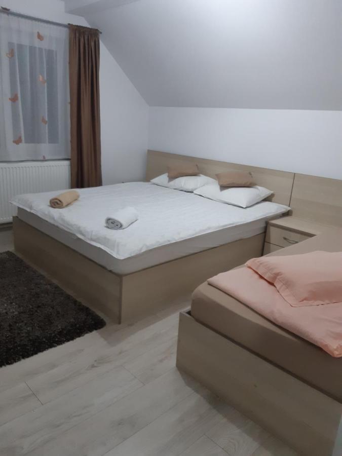 Vila Georgeta Zărneşti Bagian luar foto