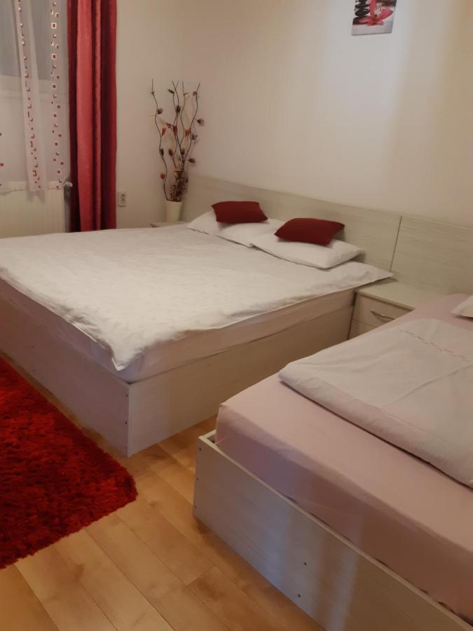 Vila Georgeta Zărneşti Bagian luar foto