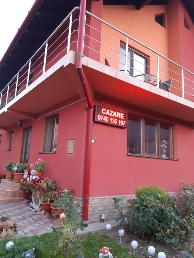 Vila Georgeta Zărneşti Bagian luar foto