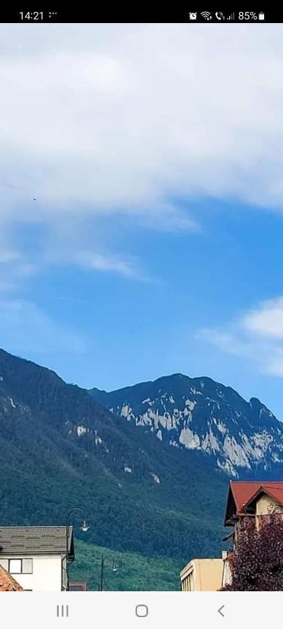 Vila Georgeta Zărneşti Bagian luar foto