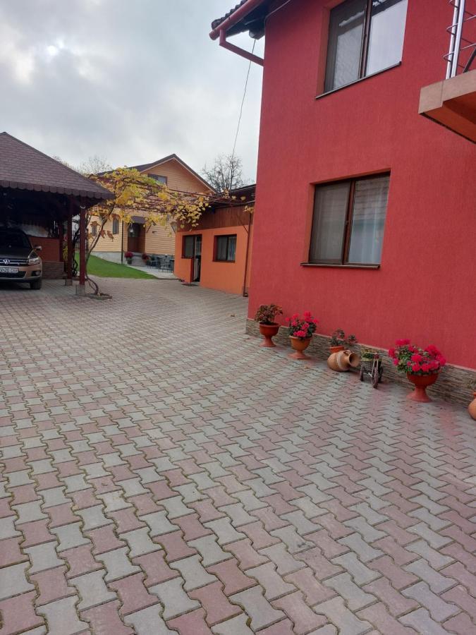 Vila Georgeta Zărneşti Bagian luar foto