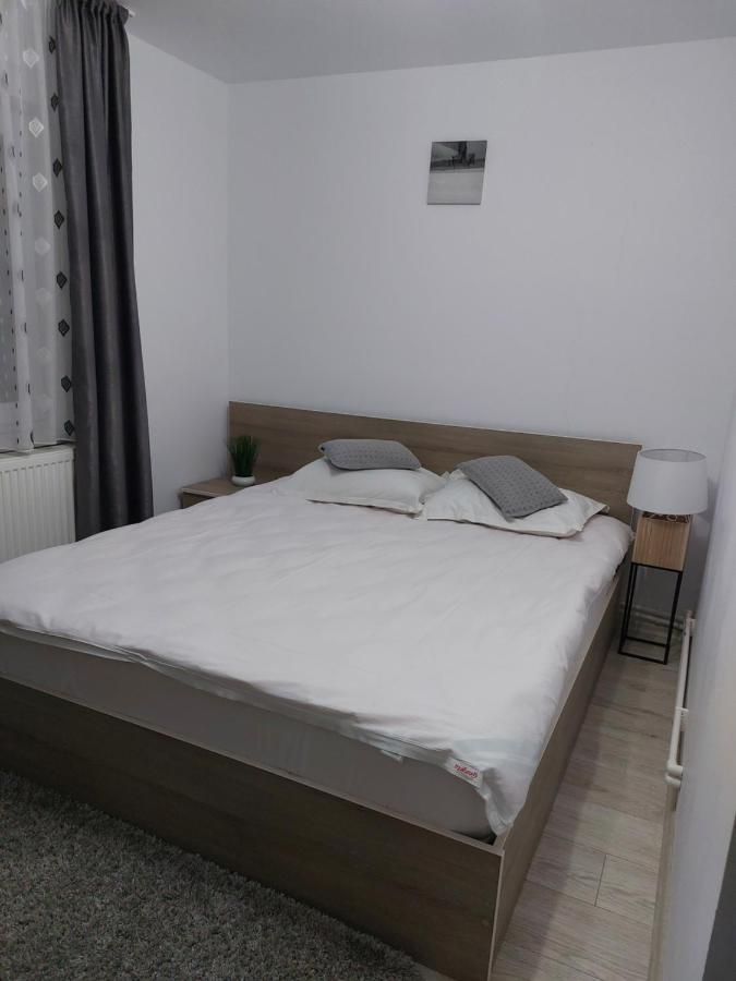 Vila Georgeta Zărneşti Bagian luar foto