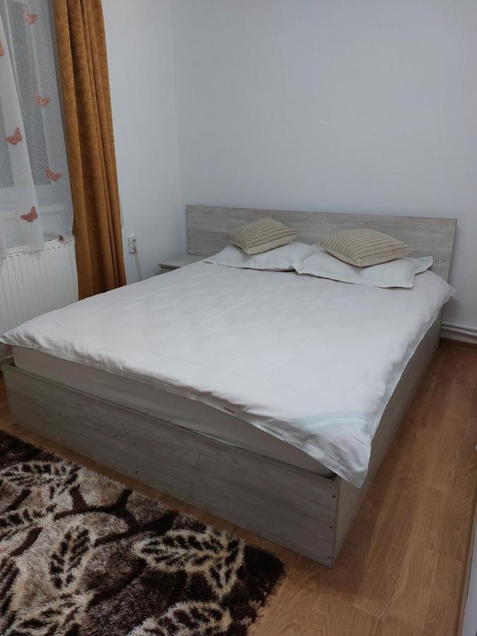 Vila Georgeta Zărneşti Bagian luar foto