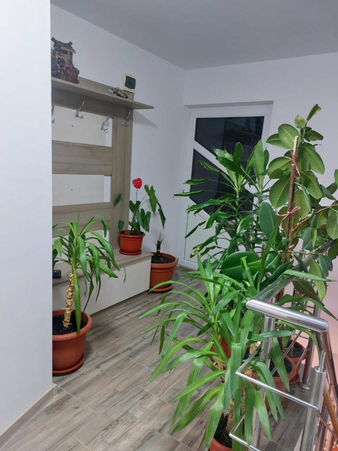 Vila Georgeta Zărneşti Bagian luar foto