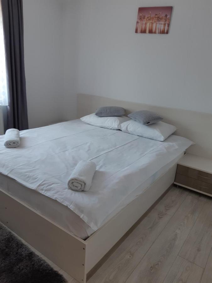 Vila Georgeta Zărneşti Bagian luar foto