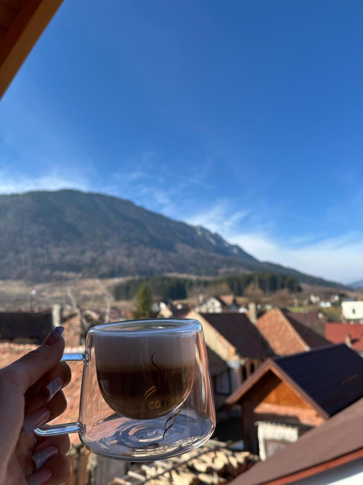 Vila Georgeta Zărneşti Bagian luar foto
