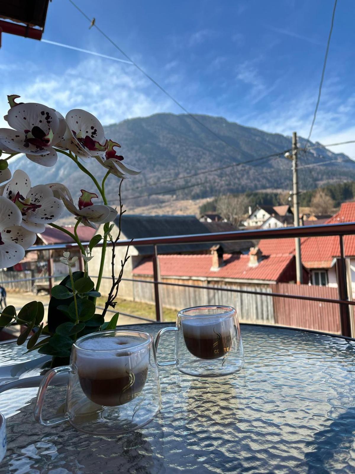 Vila Georgeta Zărneşti Bagian luar foto