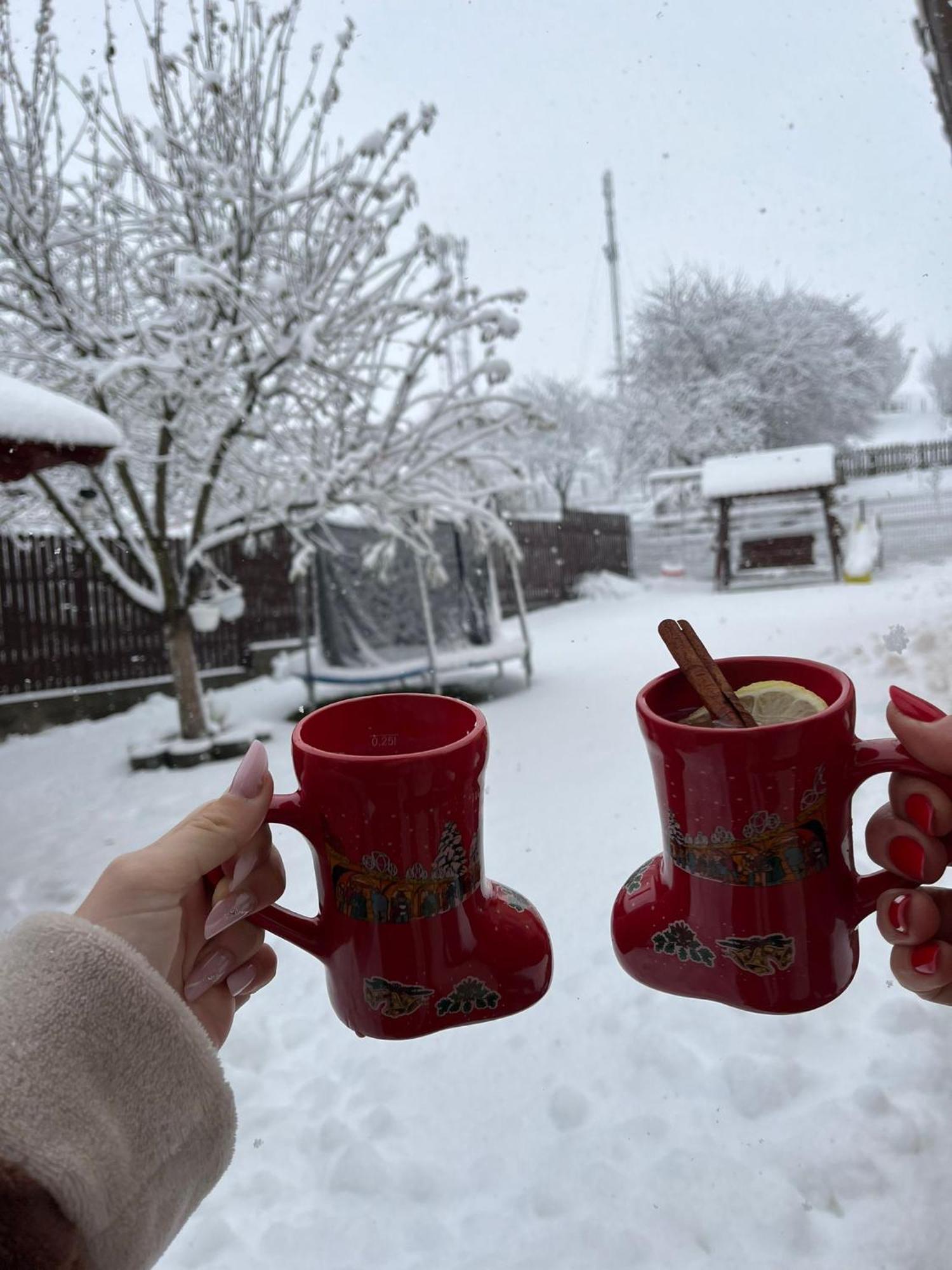 Vila Georgeta Zărneşti Bagian luar foto