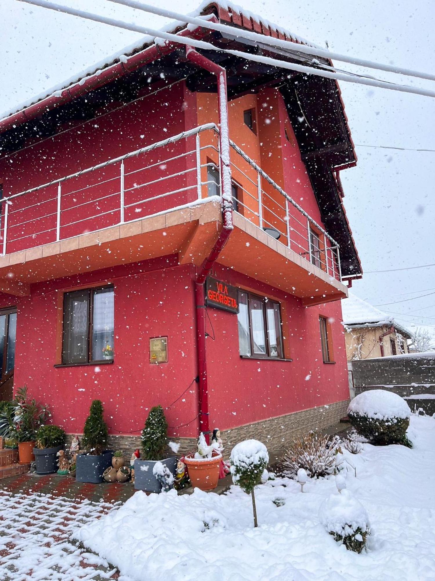 Vila Georgeta Zărneşti Bagian luar foto